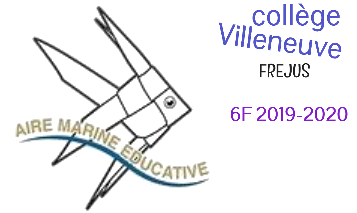 Aire maritime éducative - Collège Villeneuve, Fréjus
