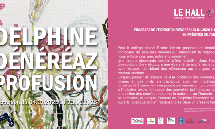 Le finissage de l&rsquo;exposition « Profusion » de Delphine DENEREAZ