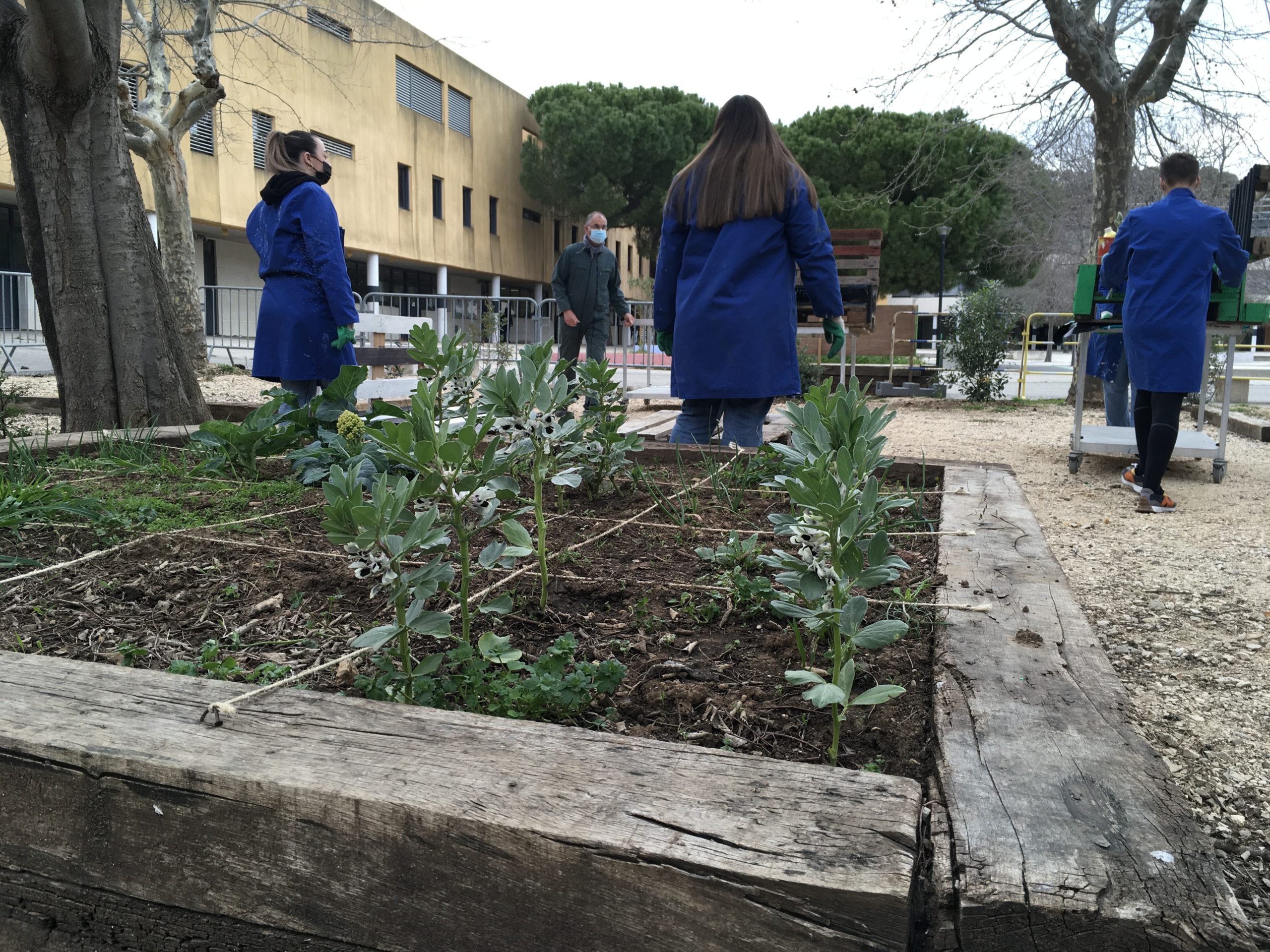 Le jardin de la Marqui'z