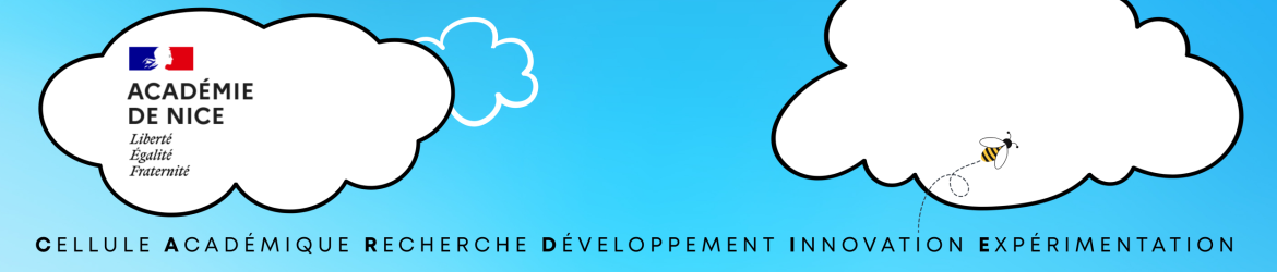 Cellule Académique Recherche Développement Innovation Expérimentation (7)