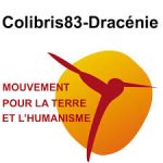 COLIBRIS83-Dracénie