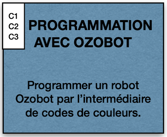 programmer2