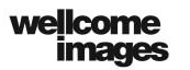 wellcome images