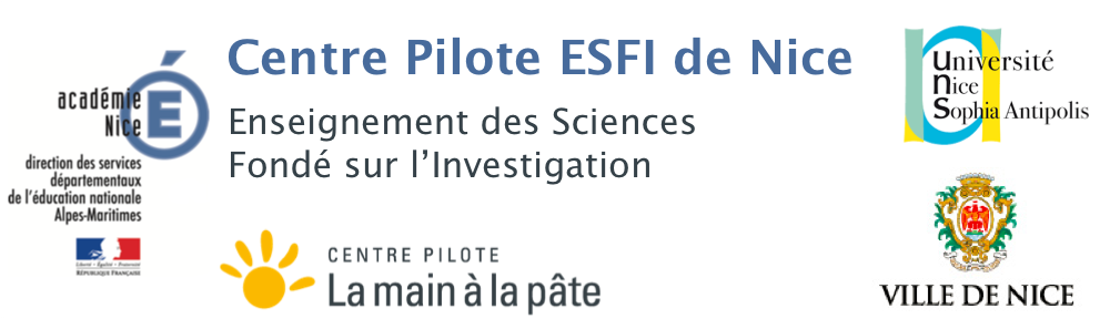 Centre Pilote ESFI de NICE