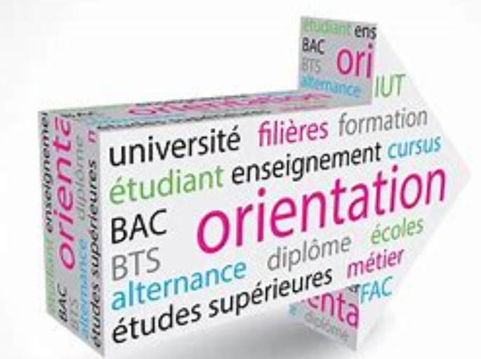 Academie De Nice Resultat Bac Francais 2022
