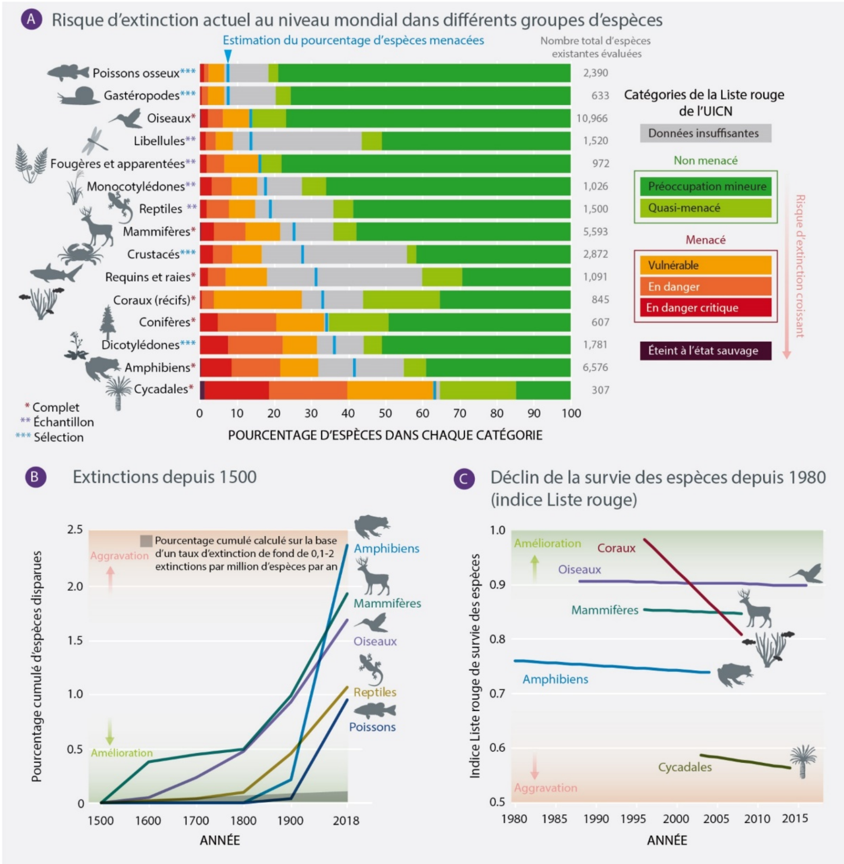 Graphiques du déclin de nombreux groupes d'animaux et de plantes