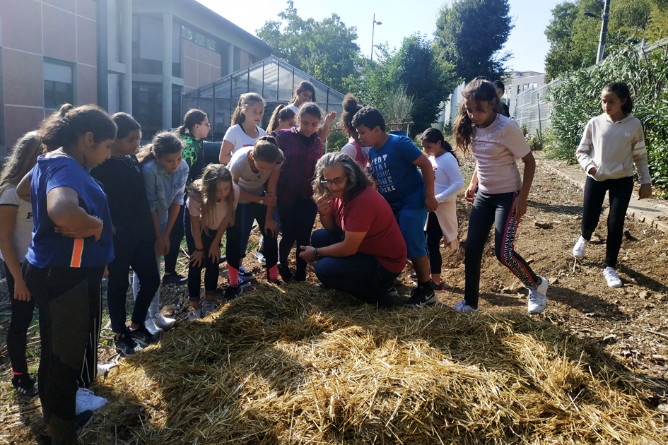 Visite du jardin du collège et rencontre avec le professeur d’horticulture de la SEGPA