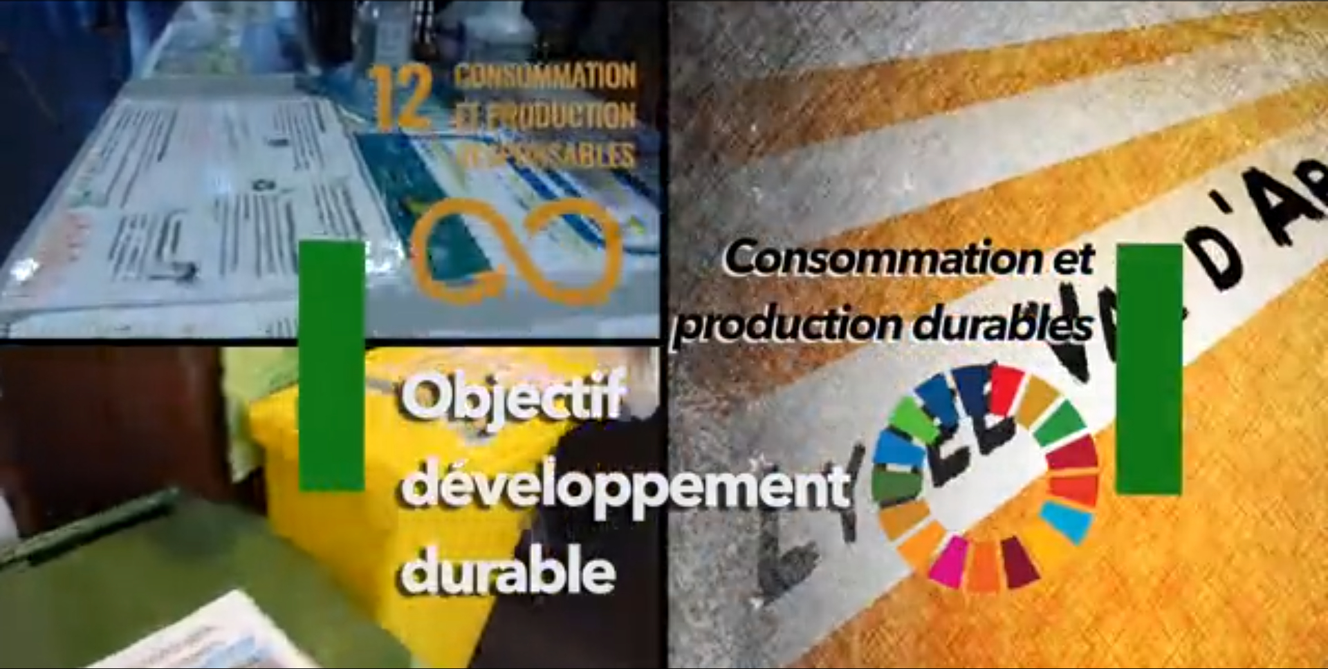 ODD 12 - Consommation et production durables