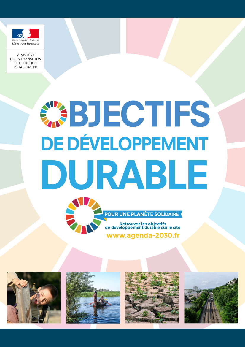 Guide Comprendre les objectifs de développement durable