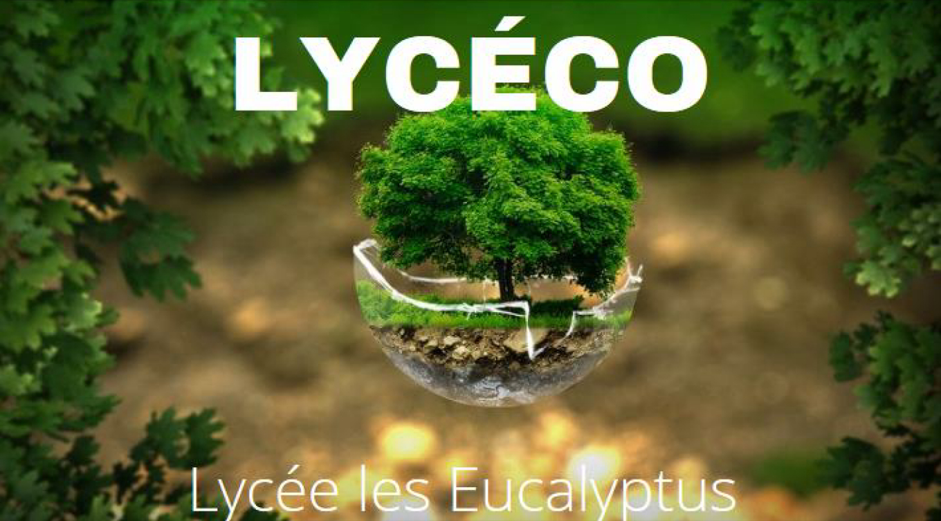 Lycéco