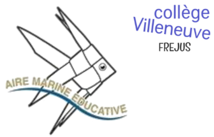 Aire maritime éducative - Collège Villeneuve, Fréjus