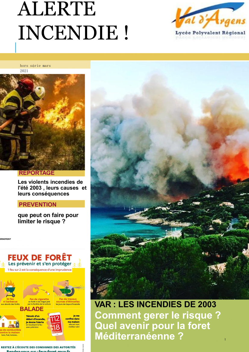Alerte incendie, les incendies de 2003 dans le Var, analyse et prévention du risque