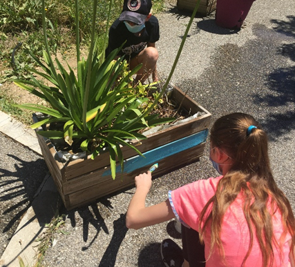 Entretien des jardinières