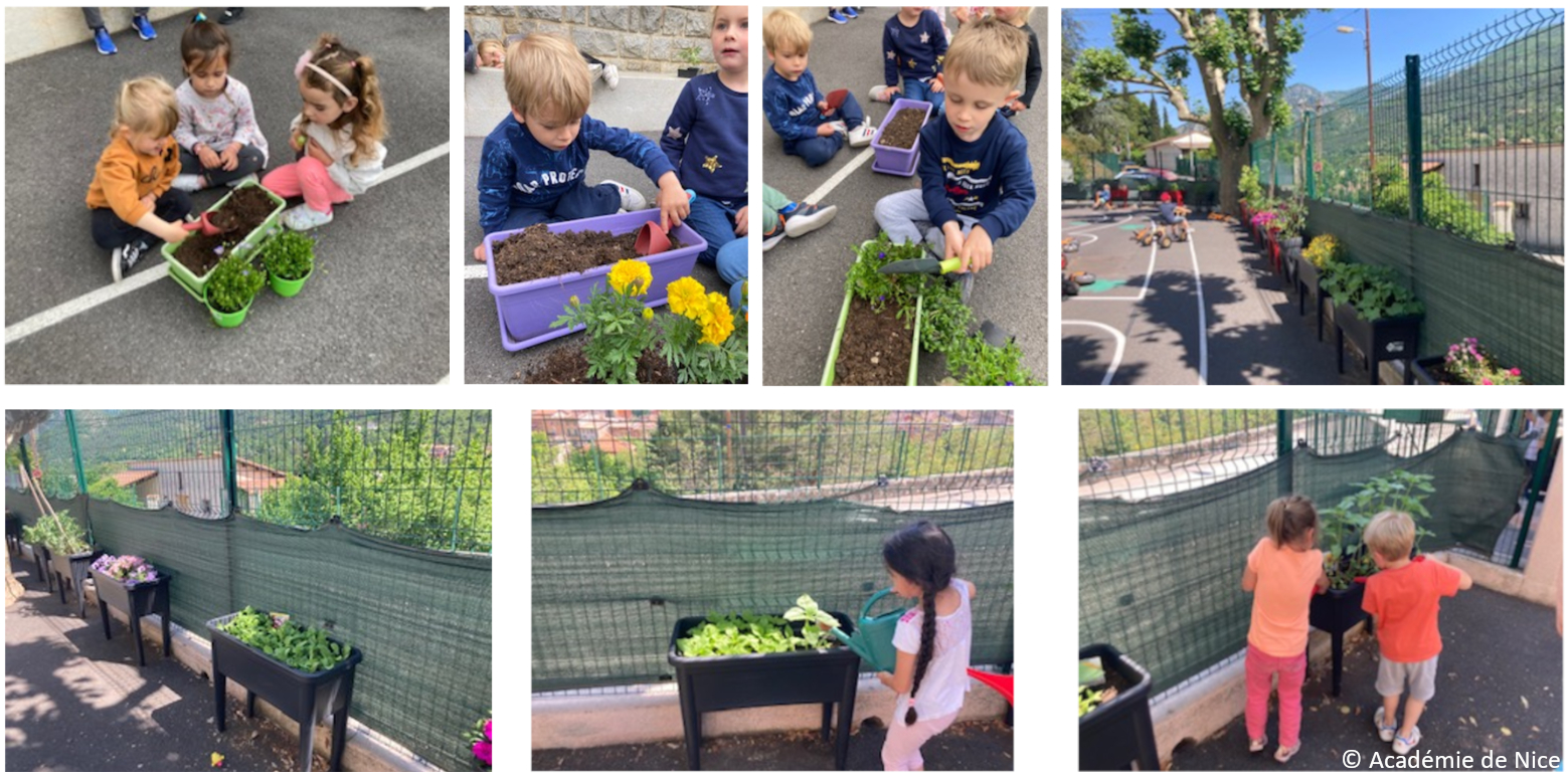 Plantation de printemps à l'école maternelle de Sospel