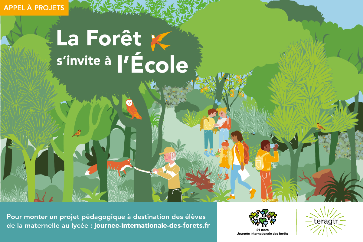 La forêt s'invite à l'école