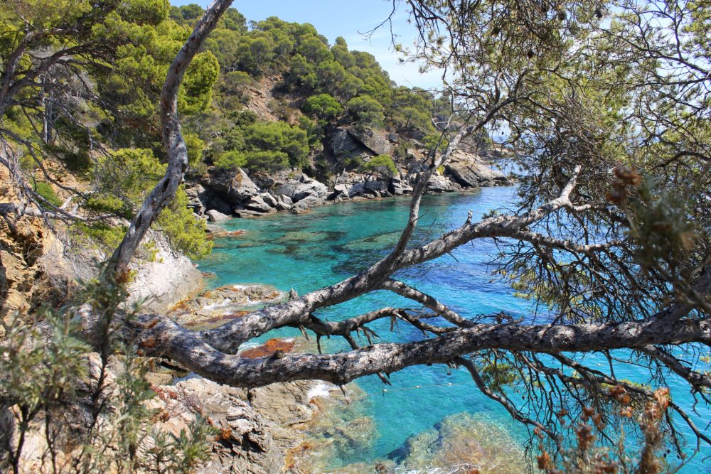 Plage du Rayol-Canadel Plage du Rayol-Canadel