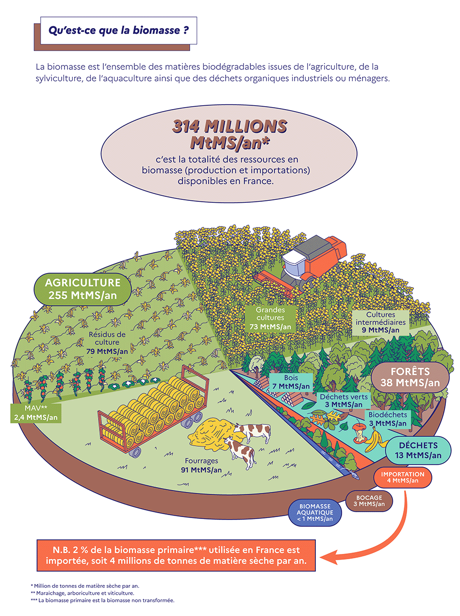 Biomasse sèche et réutilisation