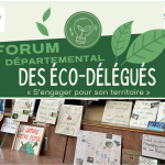 Forum des éco-délégués