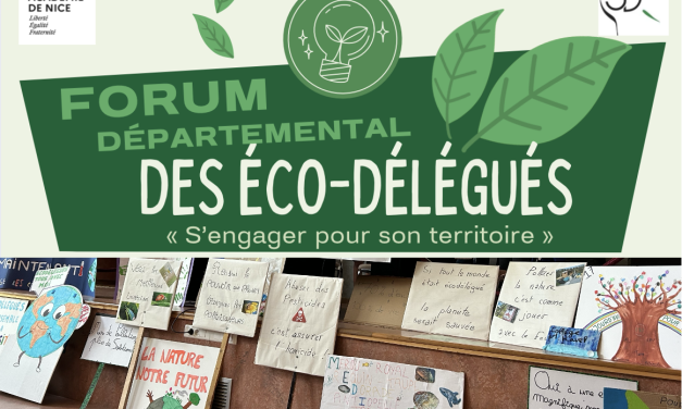 Forum des éco-délégués