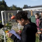 Prix de l&rsquo;action éco-déléguée de l&rsquo;année 2026