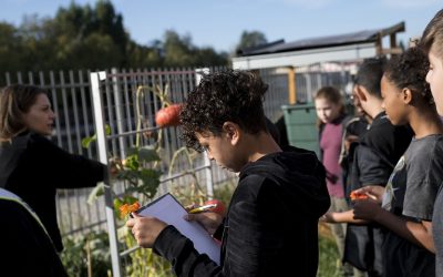 Prix de l&rsquo;action éco-déléguée de l&rsquo;année 2026