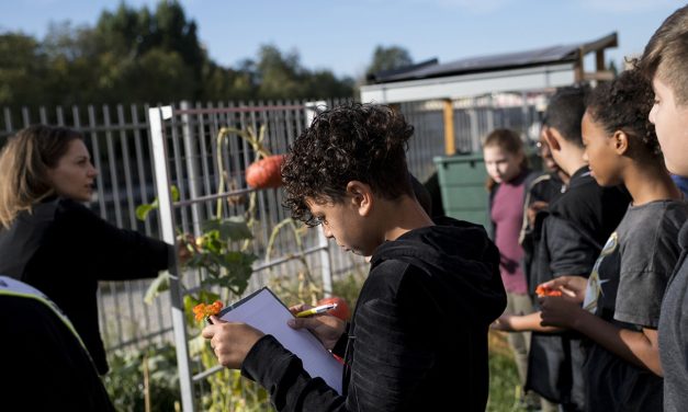 Prix de l&rsquo;action éco-déléguée de l&rsquo;année 2026