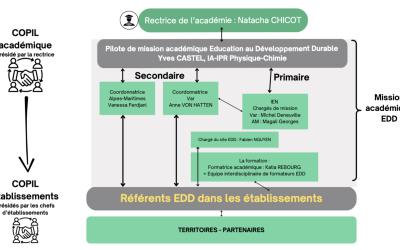 Organigramme mission EDD