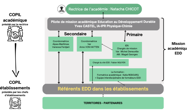 Organigramme mission EDD