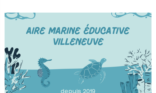 Une Aire Marine Educative à Fréjus