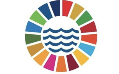 Organiser une simulation de conférence onusienne sur les Océans