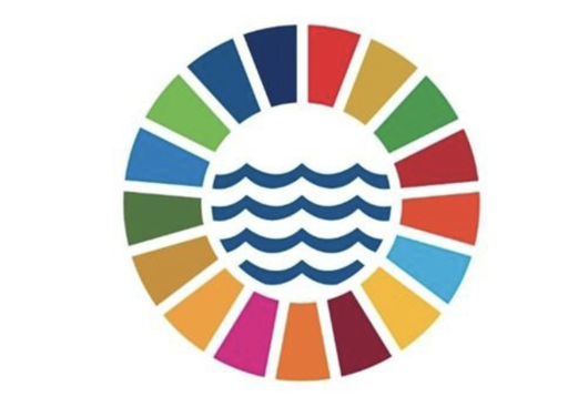 Organiser une simulation de conférence onusienne sur les Océans