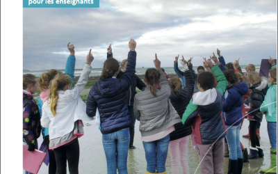 DECOUVRIR LE DISPOSITIF DES AIRES EDUCATIVES