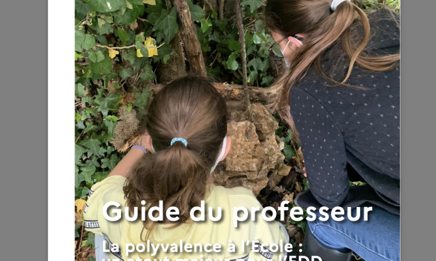 Eco-délégué au cycle 3 : guide du professeur