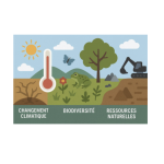 Module de formation à la transition écologique pour les agents de la fonction publique