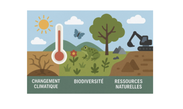 Module de formation à la transition écologique pour les agents de la fonction publique