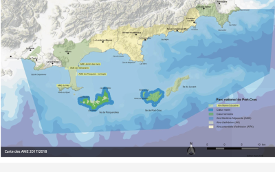 Les Aires Marines Educatives en partenariat avec le Parc National de Port Cros