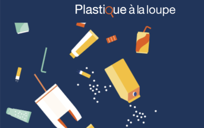 PAL : Plastique à la loupe