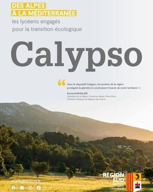 Dispositif Calypso