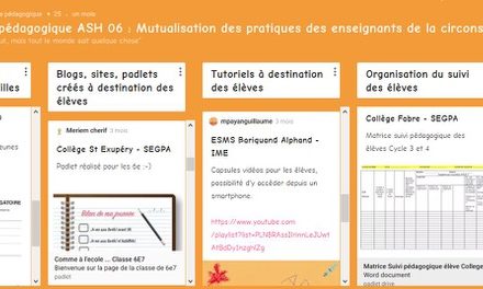 Mutualisation des pratiques des enseignants de la circonscription ASH