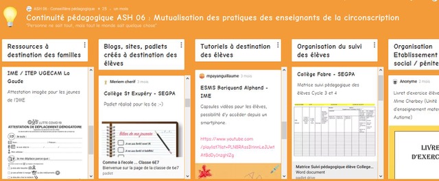 Mutualisation des pratiques des enseignants de la circonscription ASH