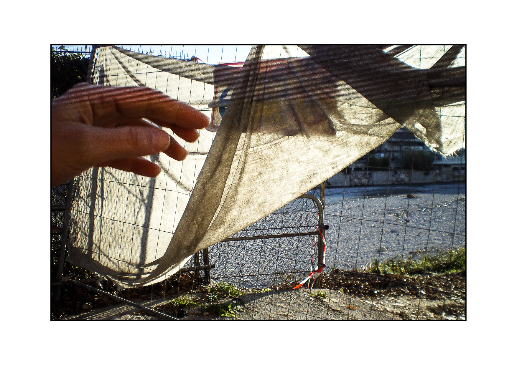 Risso GoPhoto12