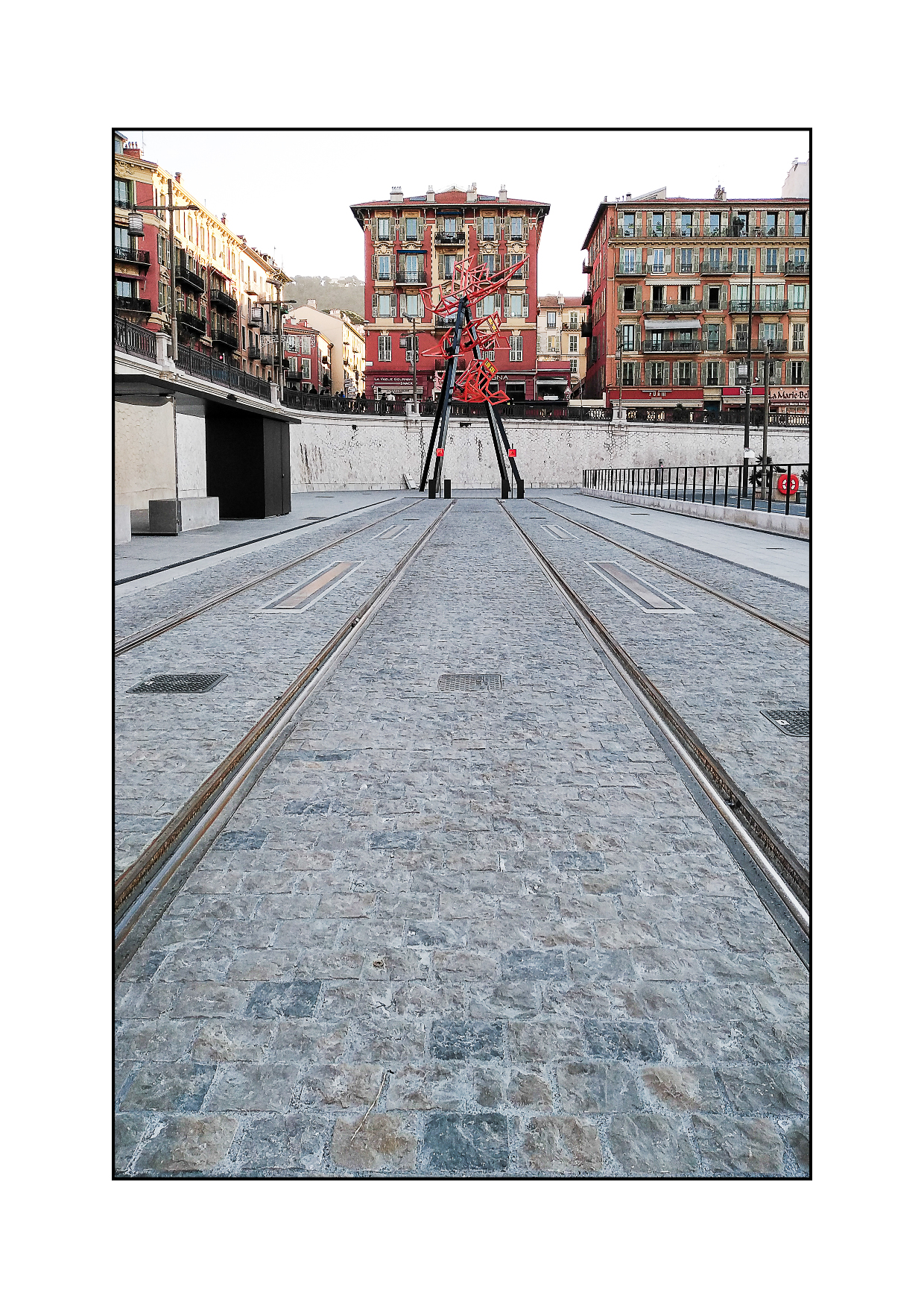 Risso GoPhoto22