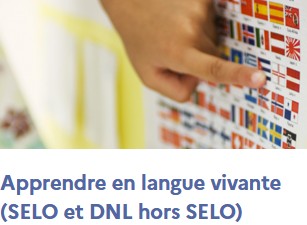 DNL