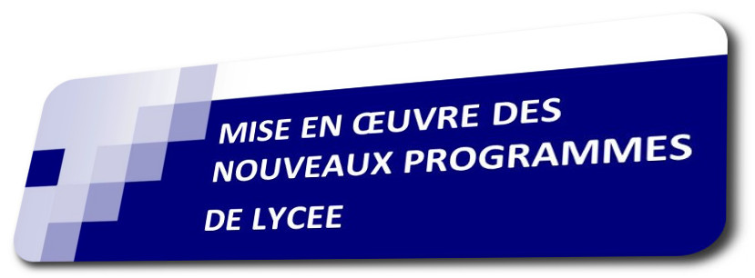 nvxpgmslyc2