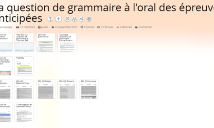 La question de la grammaire à l’oral des épreuves anticipées