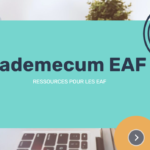 Vademecum EAF