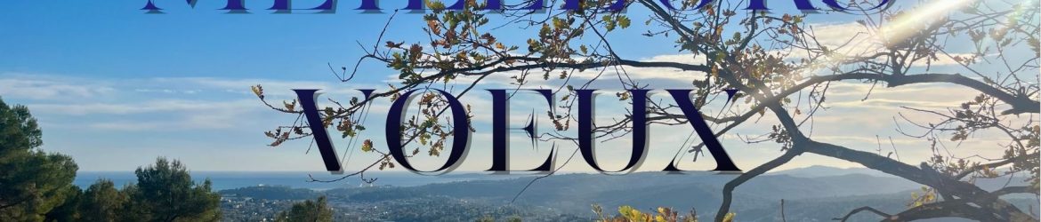 meilleurs voeux 2026