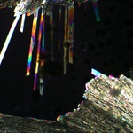 Cristaux de vanilline observés au microscope polarisant (LPA)