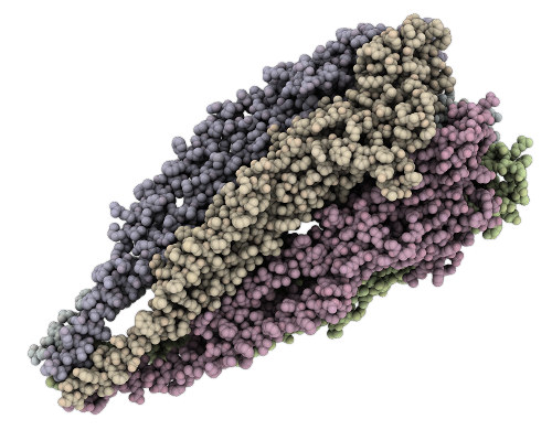 récepteur nicotinique à acétylcholine