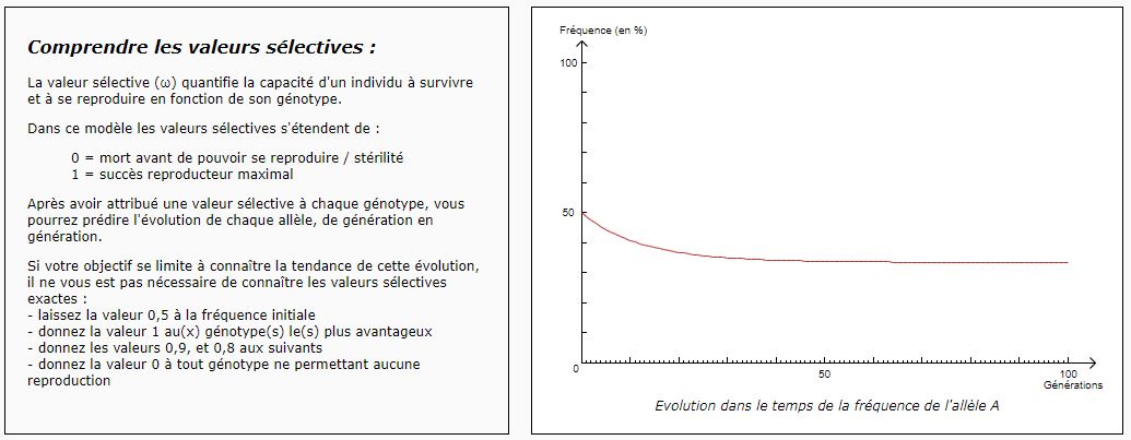 Modèle permettant d’étudier l’évolution de la fréquence allélique dans ...
